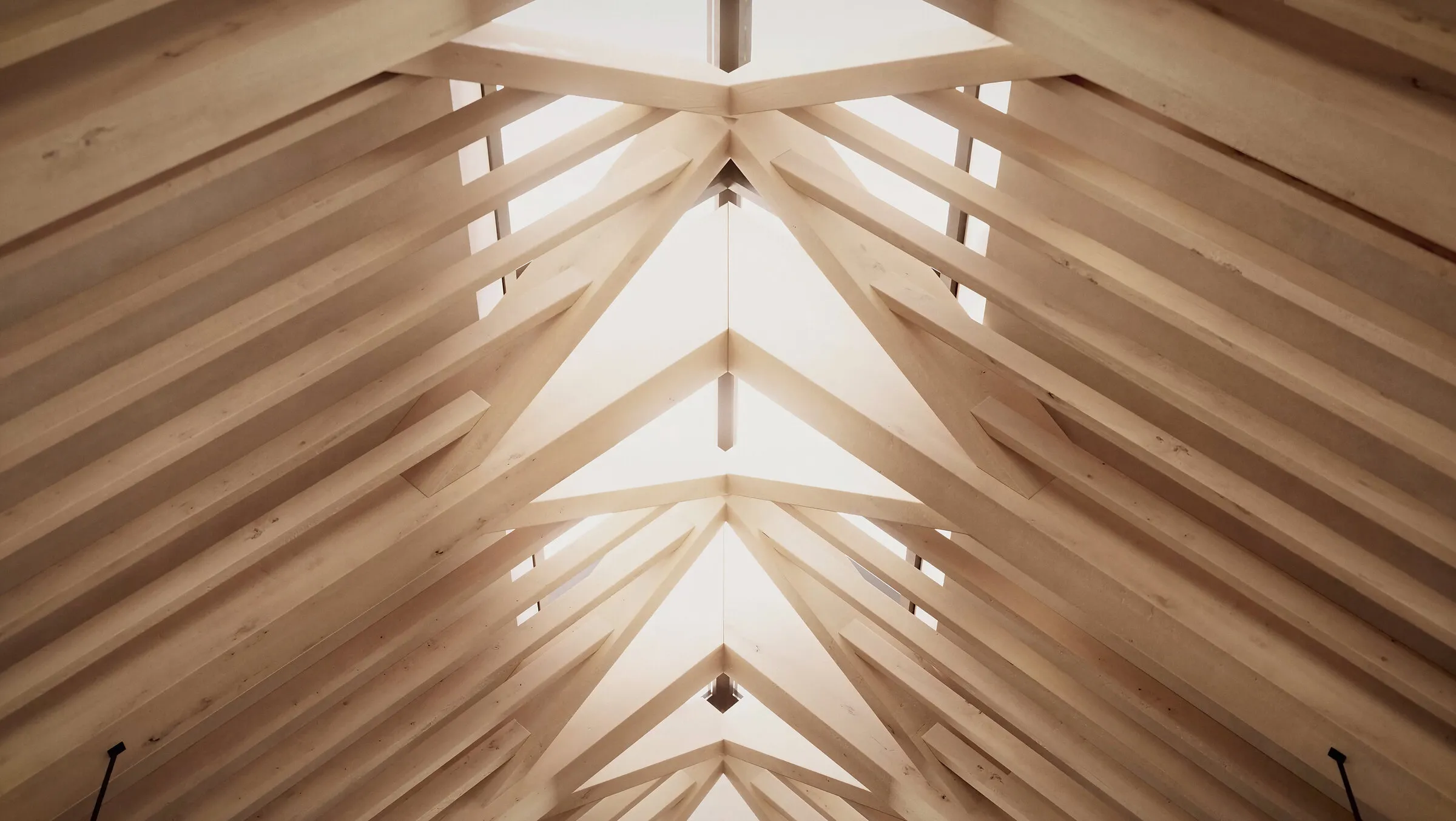 Skylight - timber roof structure